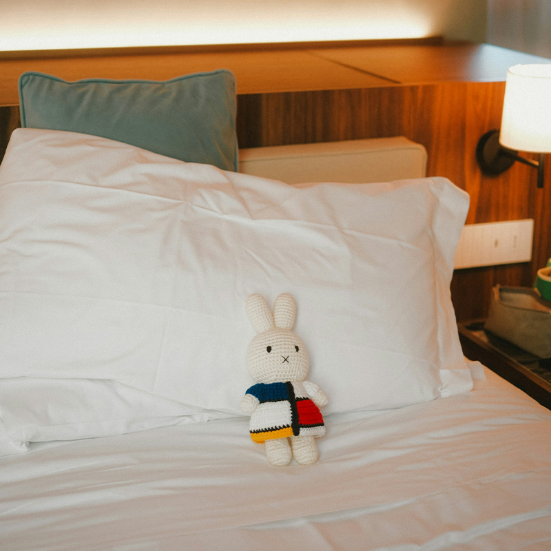 100% Polyester Microfiber Pillowcase