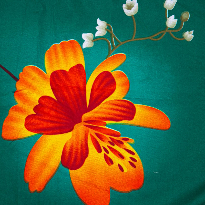 Polyester Microfiber Digital Printed Brushed Tela
